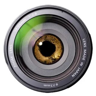 Hidden camera download