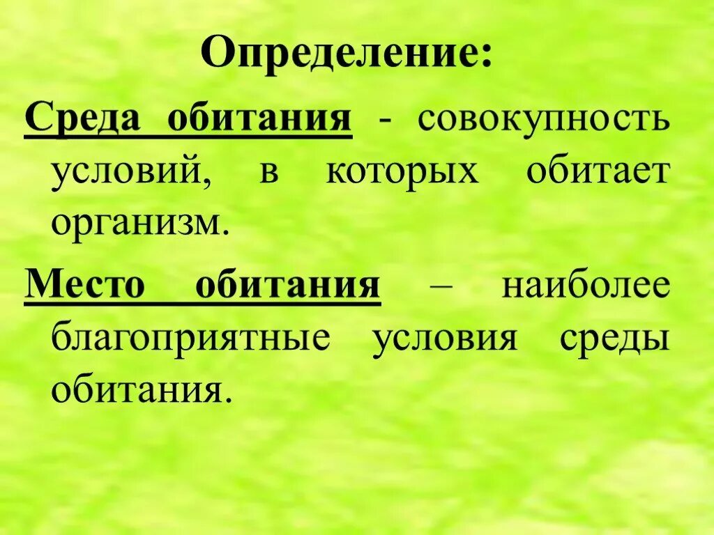 Место обитания. Среда обитания определение. Определение среды. Место обитания это в биологии.