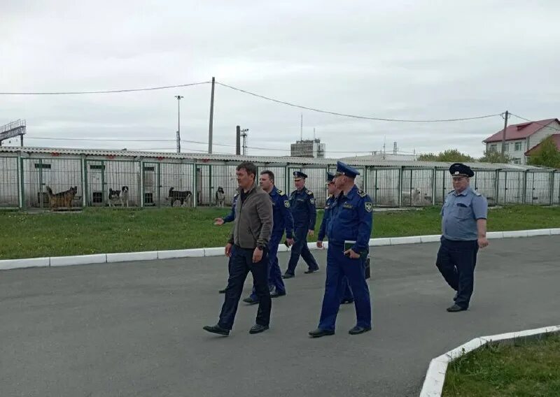 фгп во ждт рф. филиал фгп во ждт россии на северной жд. фгп во ждт россии. во юужд фгп ждт. черепанов фгп во ждт.