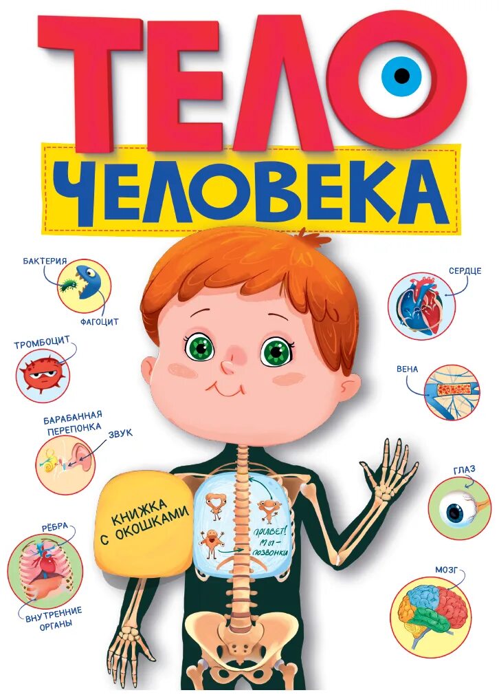 книжка тело человека для детей с окошками. книжки про человека. книжка тело человека. энциклопедия для детского сада. книжки про человека.
