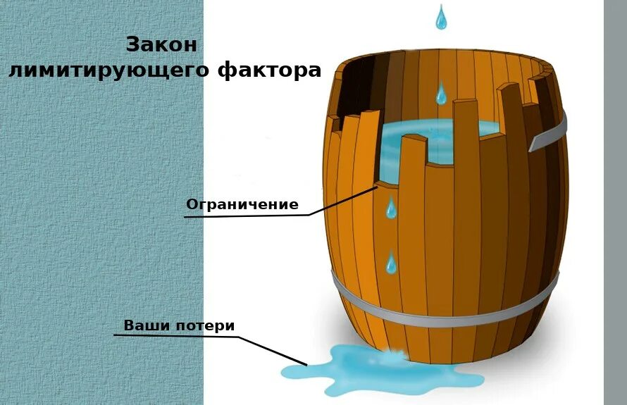 Ограниченного лимитирующего фактора
