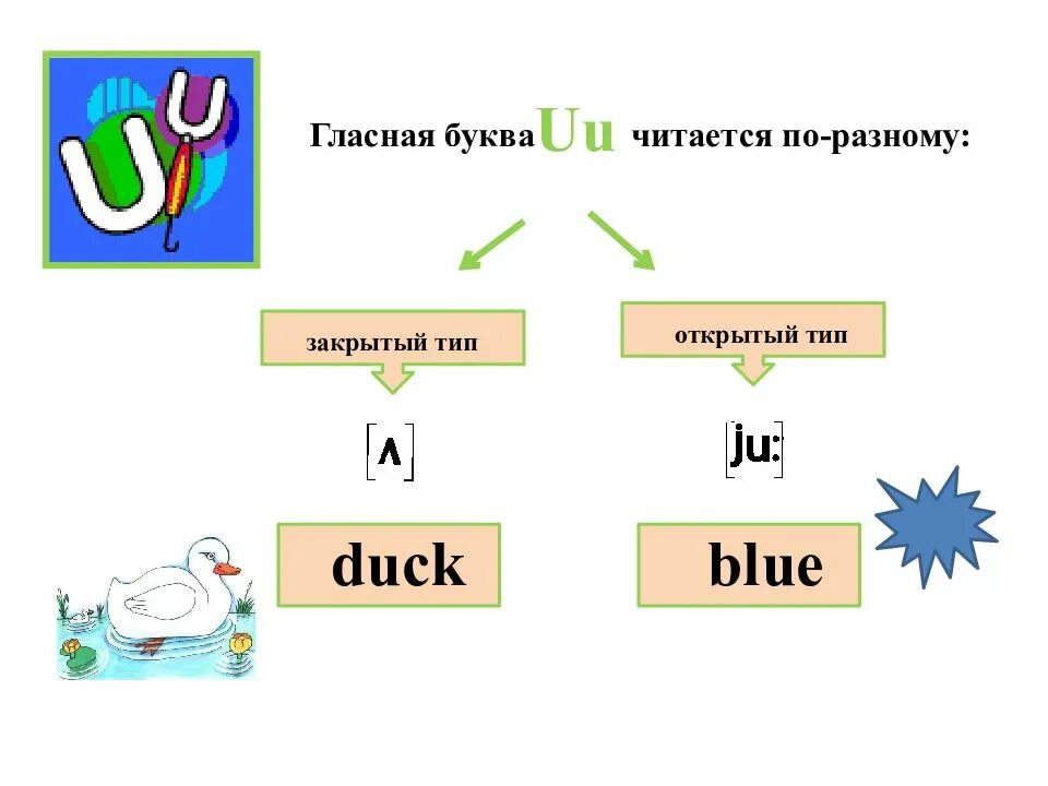 U правила чтения в английском. U В английском языке как читается. Буква u в английском языке как читается. Буква uu в открытом и закрытом слоге. U в закрытом слоге