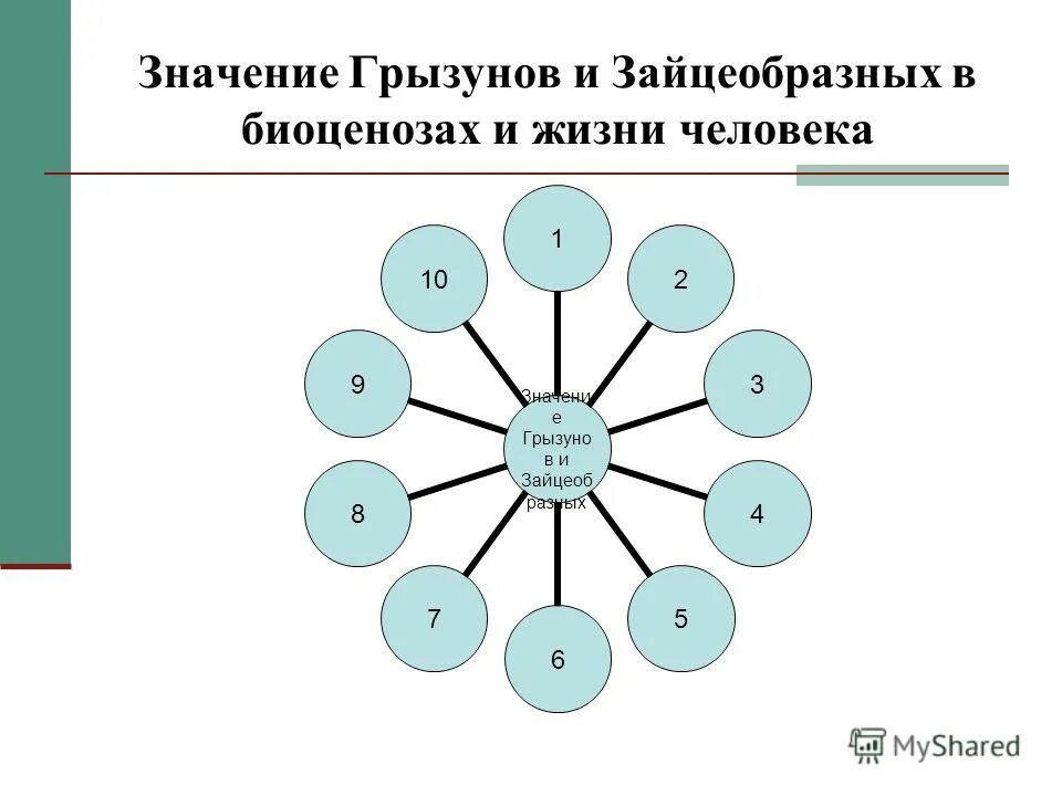 Роль грызунов в жизни человека