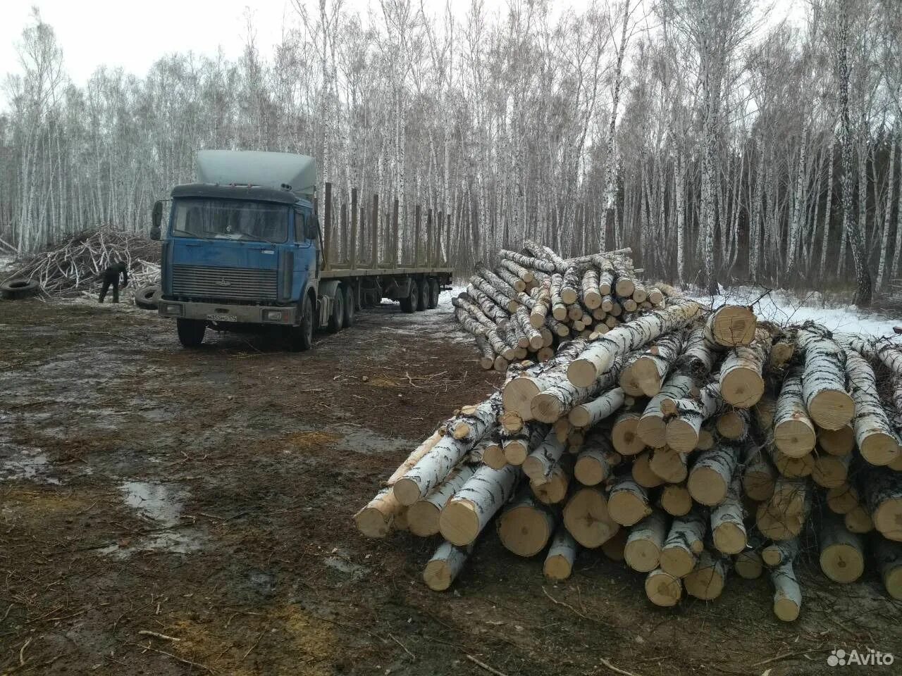 Куфар береза. Куфар береза. Продается дом в деревне. Дровяная береза кругляк. Диваны на полоцкой.