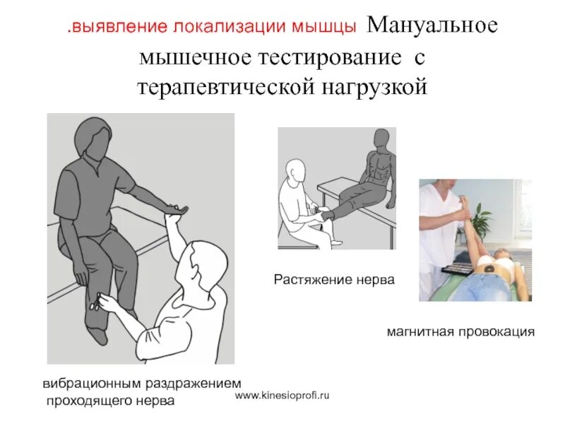 Тестирование мышцы. Мышечное тестирование. тестирование мышц. мануальномышечное тестирование. мануальное тестирование мышц.