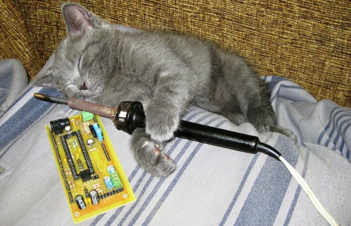 Включи кошачье радио. Кот с паяльником. кот радиолюбитель. паяльник прикол. радиолюбитель прикол.