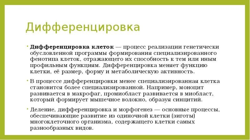 Процесс дифференцировки. Дифференцировка клеток. Дифференцировка и специализация клеток. Дифференцировка это в биологии.