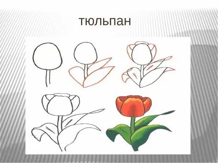 Рисуем поэтапно 4 класс презентация