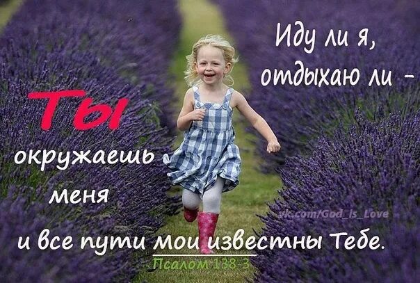 Завтра в школу мем. Вселенной все равно. Идите ли. Идите ли. Песня высоцкого идут по украине.