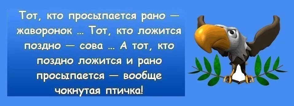 Рано ч. Кто рано встает юмор. кто рано встаёт картинки. кто проснулся рано. рано проснулась юмор.
