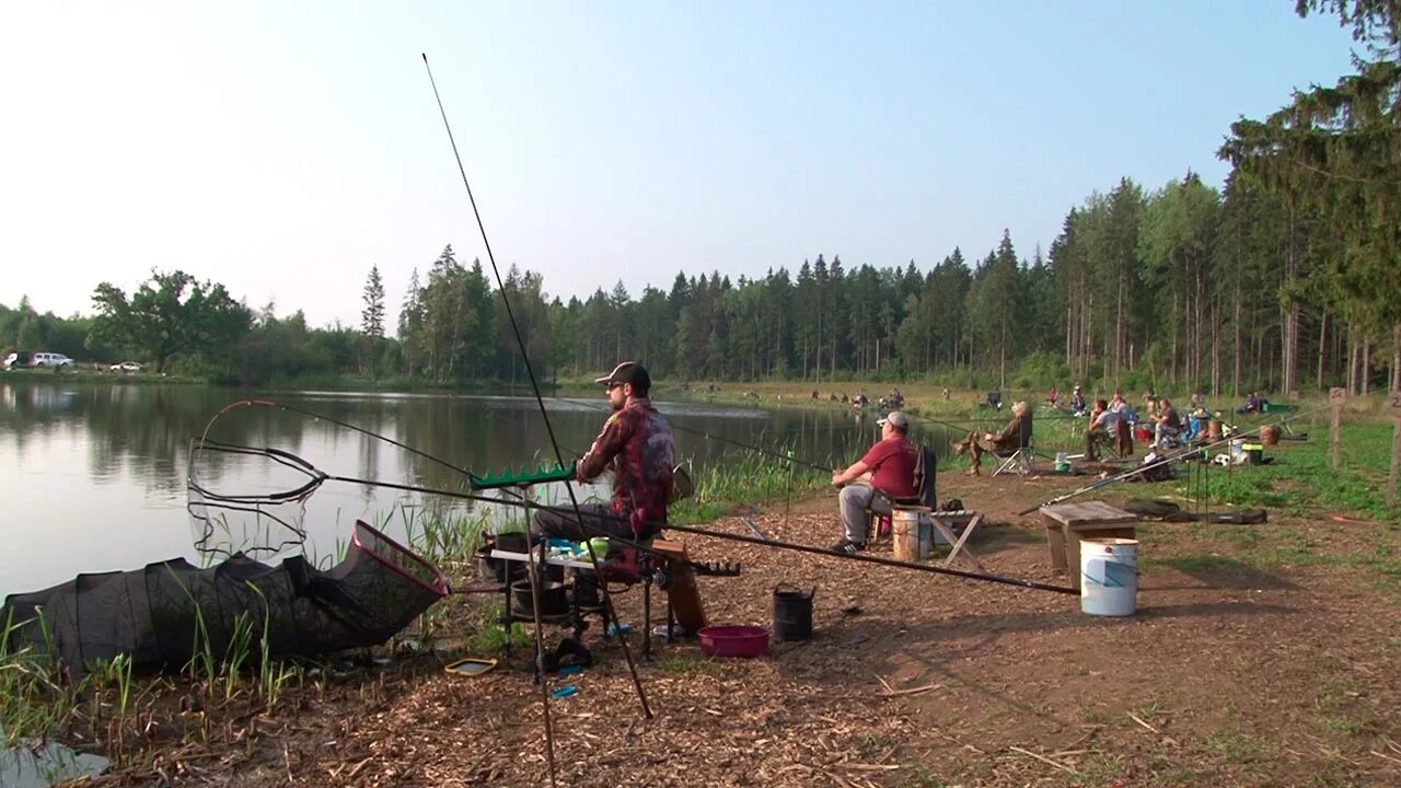 Рыбалка маклино золотой