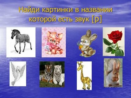 Прими звук