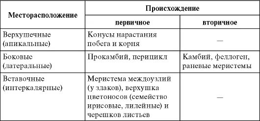Классификация образовательных тканей. Классификация образовательных тканей. Классификация образовательных тканей растений. Классификация растительных тканей схема. Классификация образовательных тканей.
