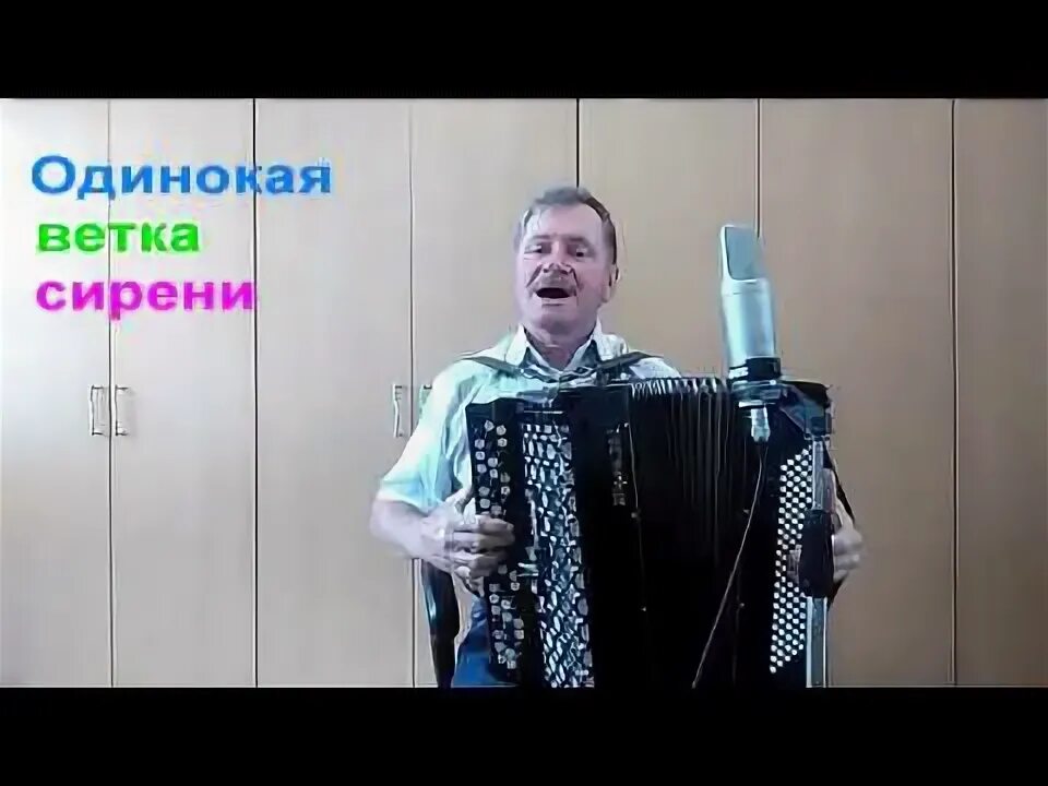 Одинокая ветки сирени гармонист. Одинокая гармонь песня текст одинокая ветка сирени. Красивый баян. Ветка сирени песня. Баян ветка сирени.