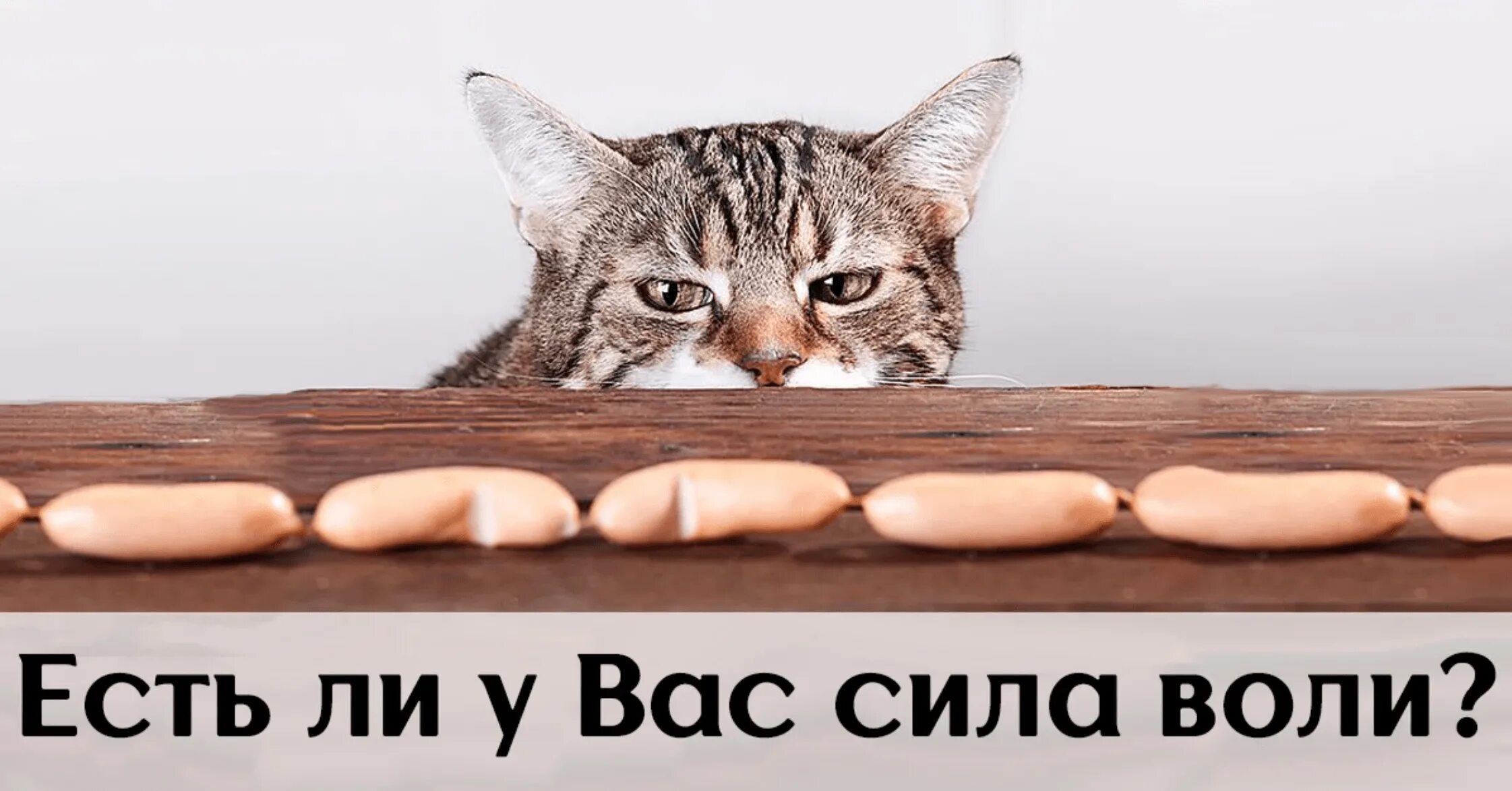 Сила воли 2025. Сила воли. сила воли картинки. сила воли иллюстрация. слабая сила воли.