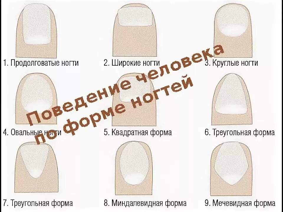По ногтям определить человеком. Форма ногтей разновидности. Треугольная форма ногтевой пластины. Изменилась форма ногтей.