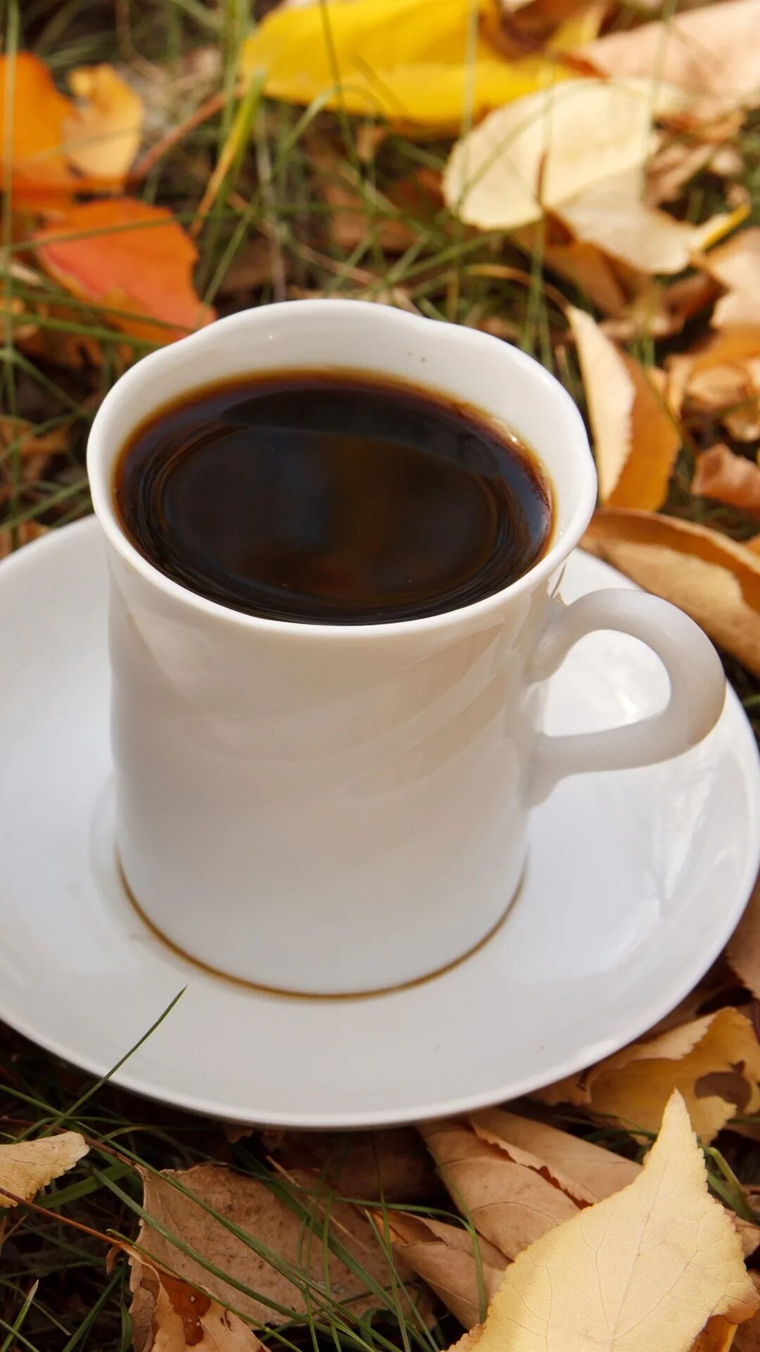 coffee Arranjos