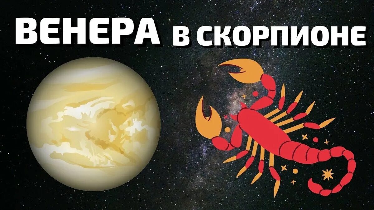 Мужчина с венерой в скорпионе. Мужчина с венерой в скорпионе. Мужчина с венерой в скорпионе. Знаменитости с венерой в скорпионе. Мужчина с венерой в скорпионе.