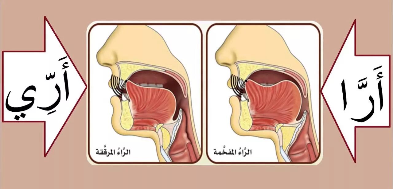 Pin on التثقيف الصحي Muslim kids activities, Learning arabic, Islamic books for 
