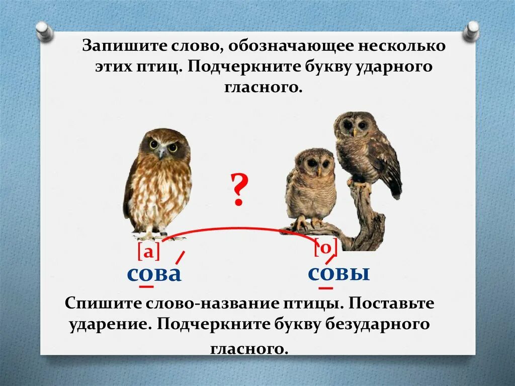 Слово сова безударная гласная. Сова безударный гласный звук. Сова Совы безударный гласный звук. Ударный гласный звук в слове Совы. Сова подчеркни безударные гласные.