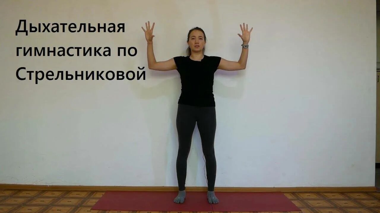 Дыхательная гимнастика по стрельникову ведет щетинин. Щетинин дыхательная гимнастика стрельниковой. гимнастика стрельниковой за 12 минут.
