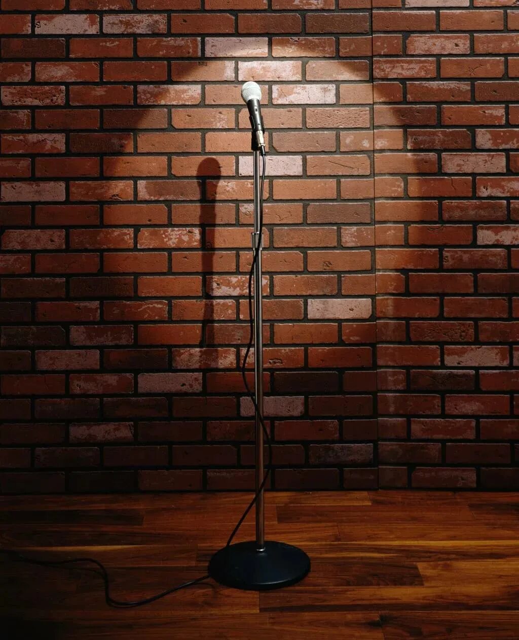 Женский стенд ап 2024. Кирпичная стена и микрофон. Микрофон стендап. Микрофон на стене. Stand up стена.