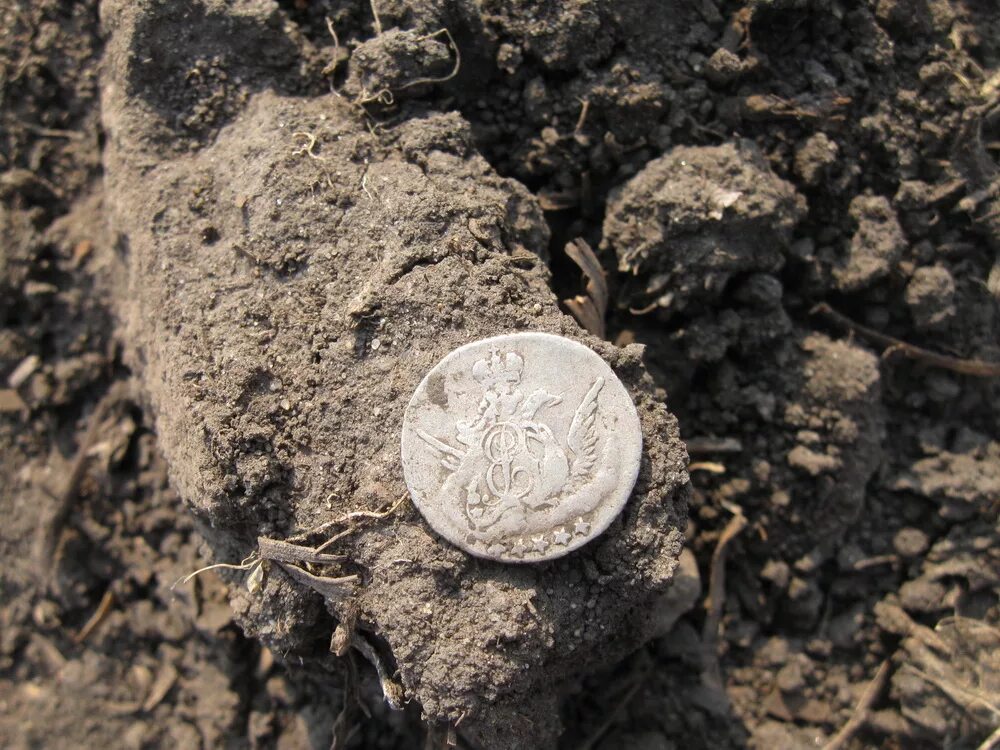 что можно найти в земле. находки металлоискателем кладов золота. синявинские болота находки. находки кладов с металлоискателем. что можно найти в земле.