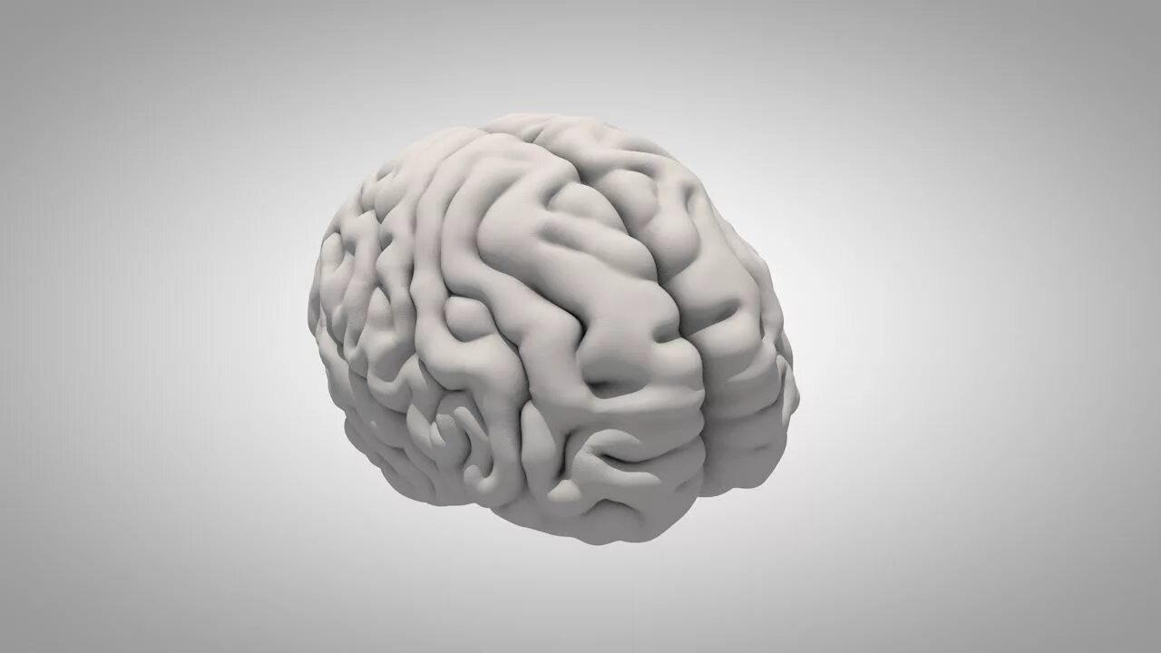 Brain model. Моделирование человеческого мозга.