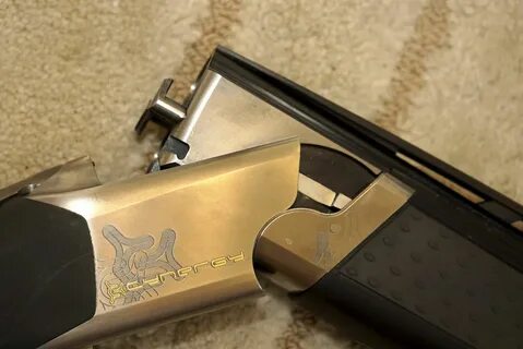 Browning cynergy