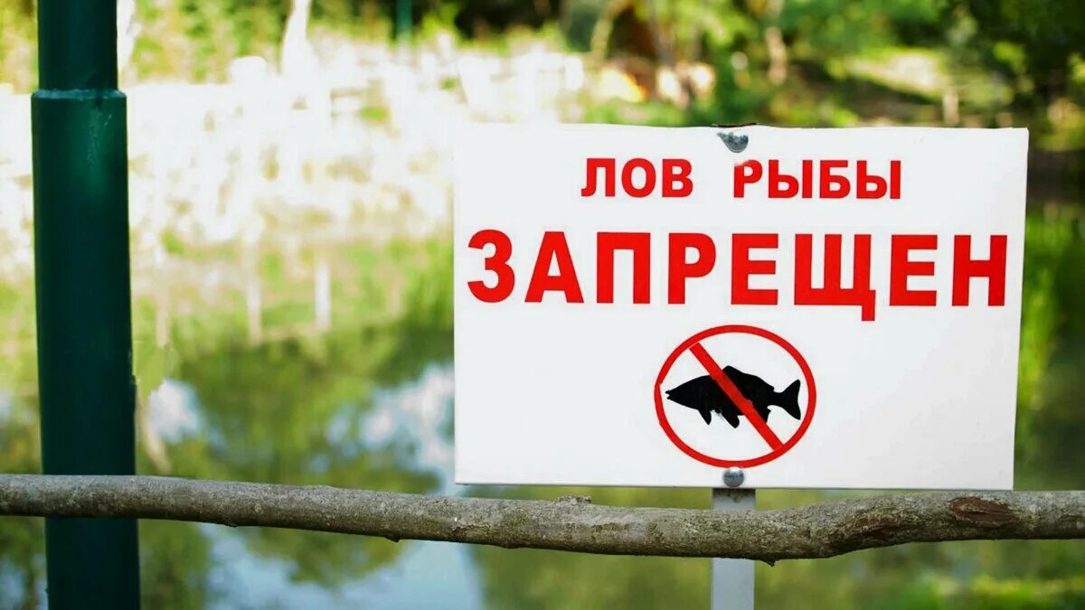Запрещено ловить в россии. Рыбалка запрещена. Лов рыбы запрещен. Рыбалка запрещена табличка. Ловля рыбы запрещена табличка.