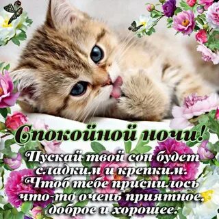 Красивые пожелания спокойной ночи в прозе