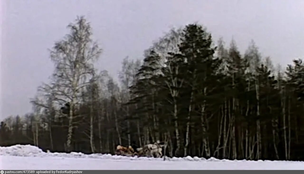 Чародеи фильм 1982 кадры тройка. Чародей фильм 1995. Сериал чародей — spellbinder (1995). Чародеи фильм 1982. Чародеи сериал 90-х.