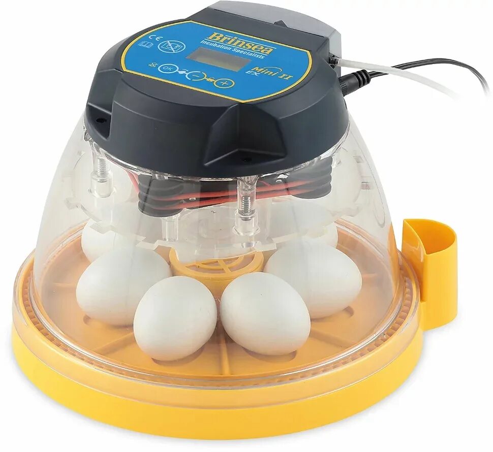 Инкубатор для дома какой выбрать. Инкубатор для дома какой выбрать. Инкубатор для дома какой выбрать. Wheaton инкубатор модель 1057606. Инкубатор rcom mini pro.