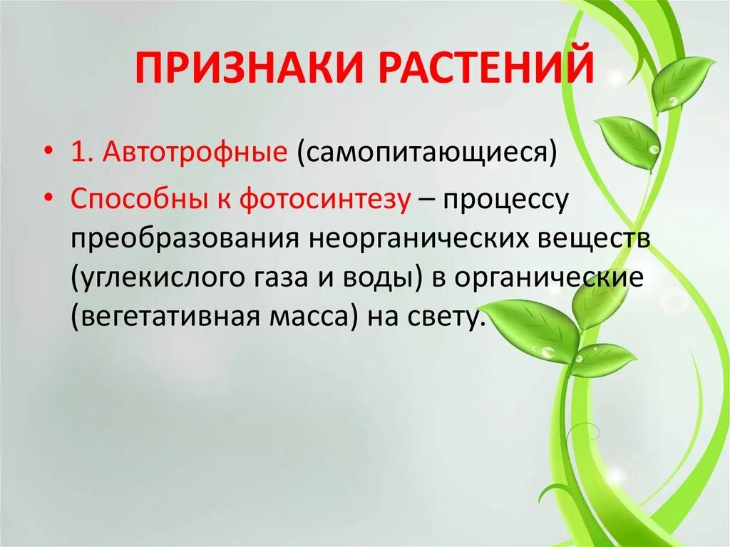 Признаки растений. Признаки растений биология. Признаки царства растений. Общие признаки растений. 5 основных признаков растений