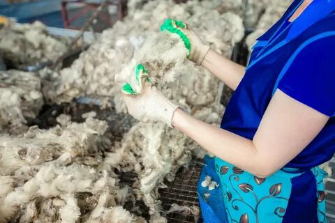 Шерсти обрабатывающий
