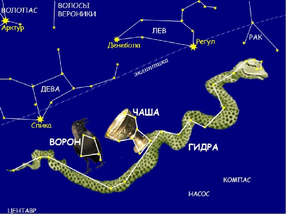 Какие звезды весной. Созвездия Лев Волопас Дева. Созвездие ворон чаша и гидра. Созвездие гидра миф. Созвездия весеннего неба.