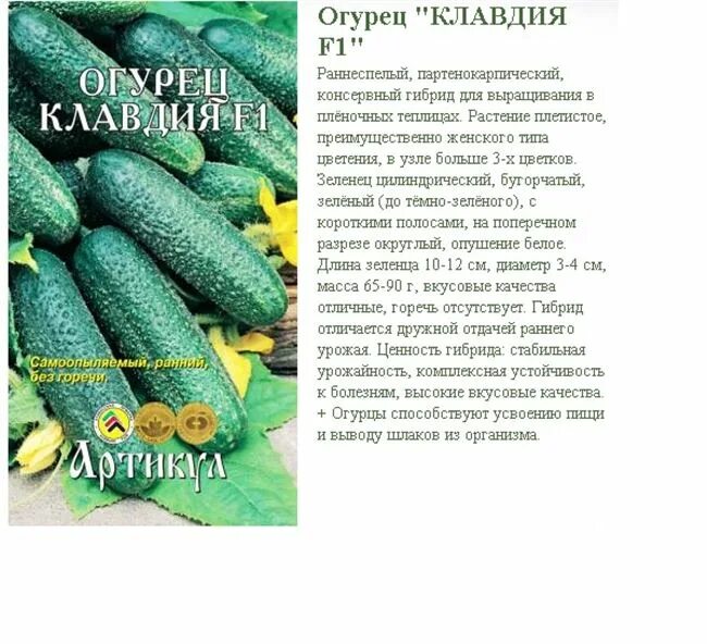 Огурцы сорт спринтер