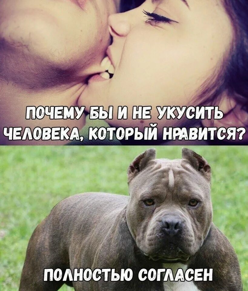 Почему мне понравилась девочка