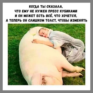 Бесплатные смешные картинки до слез