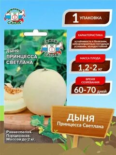Дыня северная принцесса