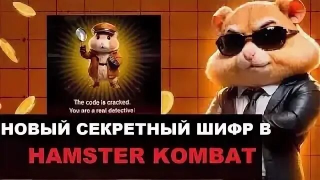Новый шифр в хамстер комбат