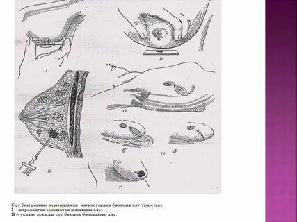 Жеке орыс порносы