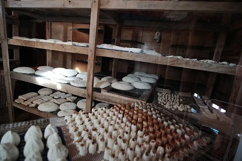 Липецкие сыроварни. Сыроварня задонск. Сыры рогожино липецкая область. Углич сыродельный завод. Кафе раненбург в чаплыгине.