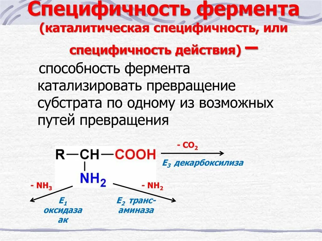 Ферменты обладают специфичностью. Каталитическая специфичность ферментов. Специфичность действия ферментов. Специфичность действия ферменто. Относительная специфичность ферментов.