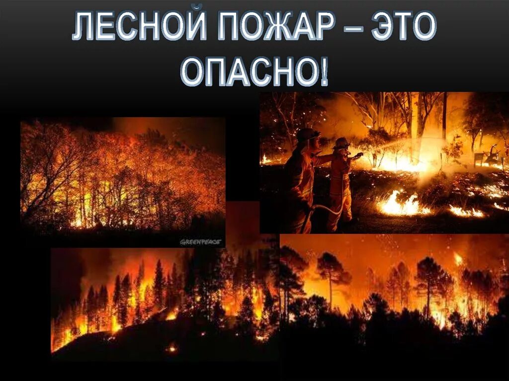 Сгорела схема. Лесные пожары презентация. Презентация пожары в России в лесах. Лесные пожары схема. Пожар опасно.