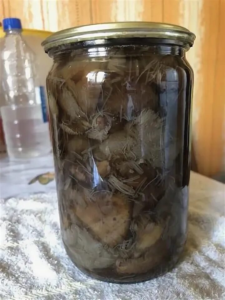 Свинухи рецепт на зиму. Свинухи рецепт на зиму