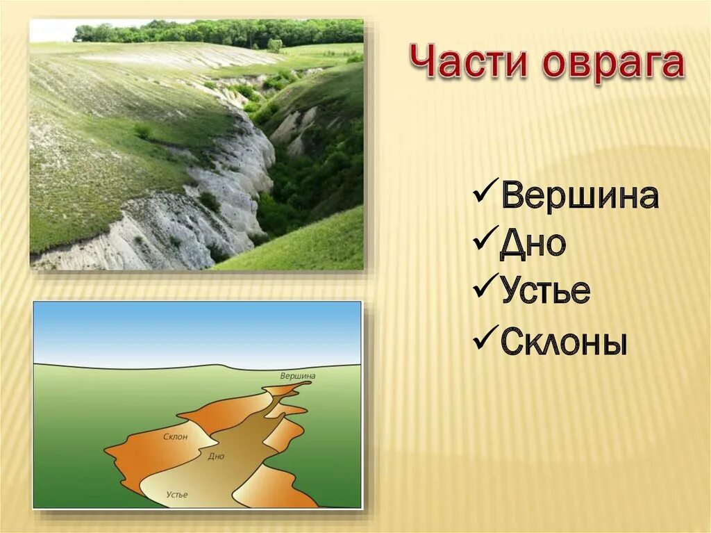 Овраг презентация. Части оврага. Холмы и овраги 3 класс. Строение оврага.