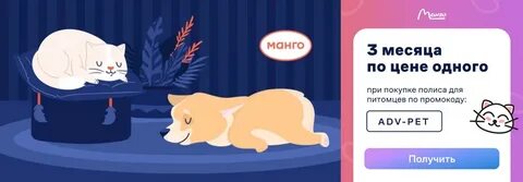 Манго страхование