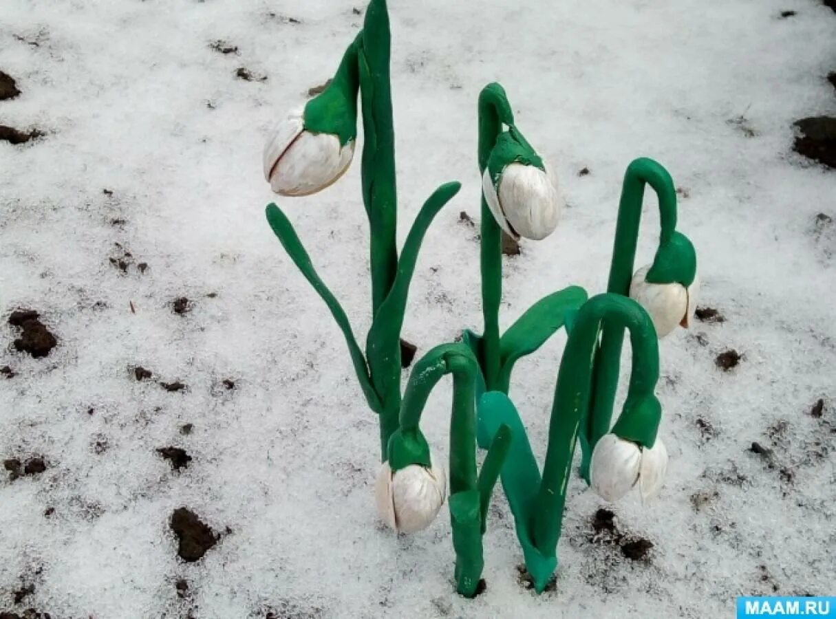 Лепка из пластилина подснежники. Поделка подснежники. Лепка подснежники. Подснежники поделка в детском саду. Весенняя поделка подснежники.