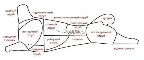 Куда тушку